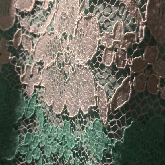 Sleeveless Lace Dress - Picture 4 of 4